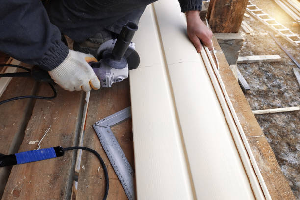 Best Historical Building Siding Restoration  in Spring Hill, FL
